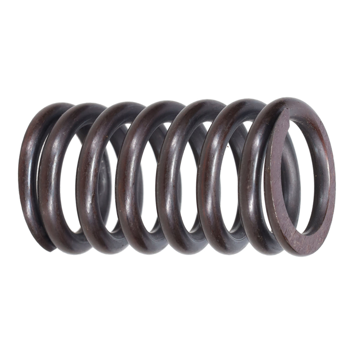 Valve Spring