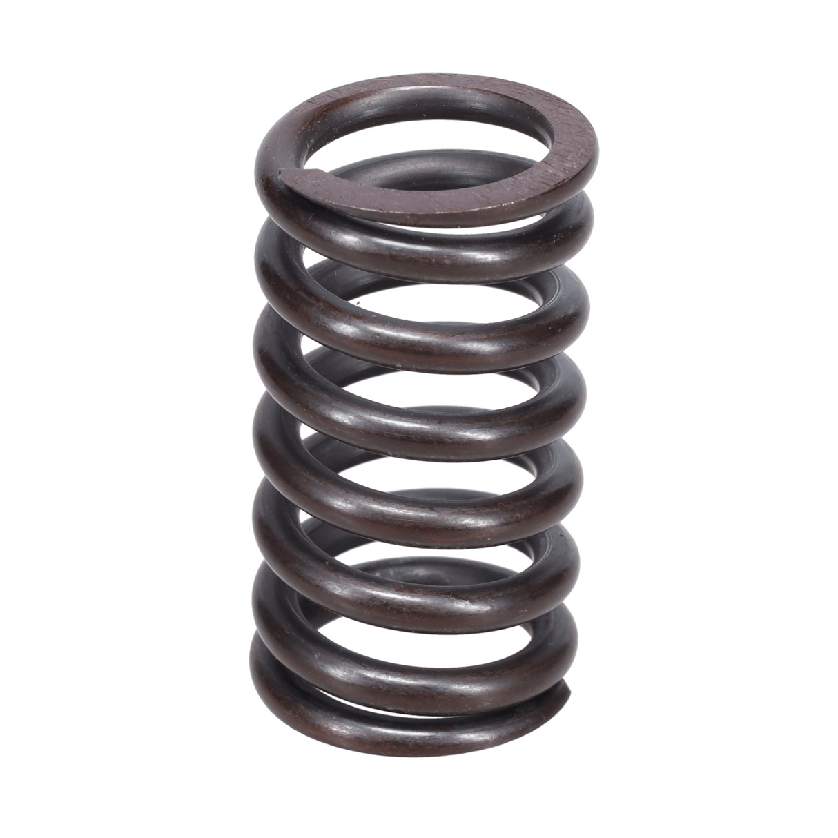 Valve Spring