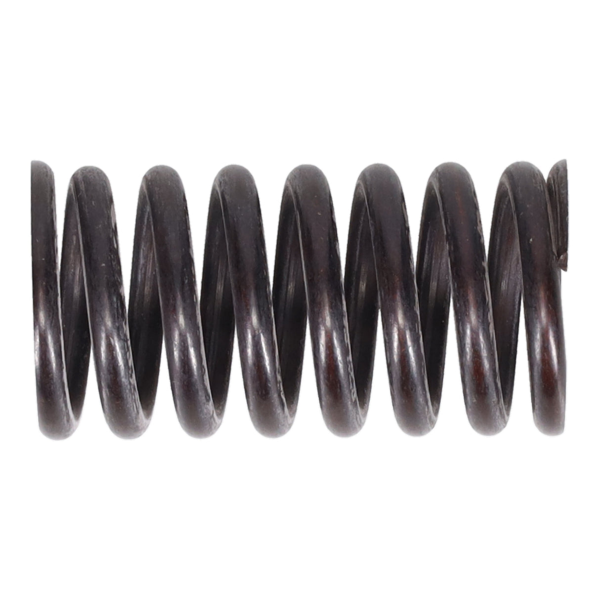 Valve Spring