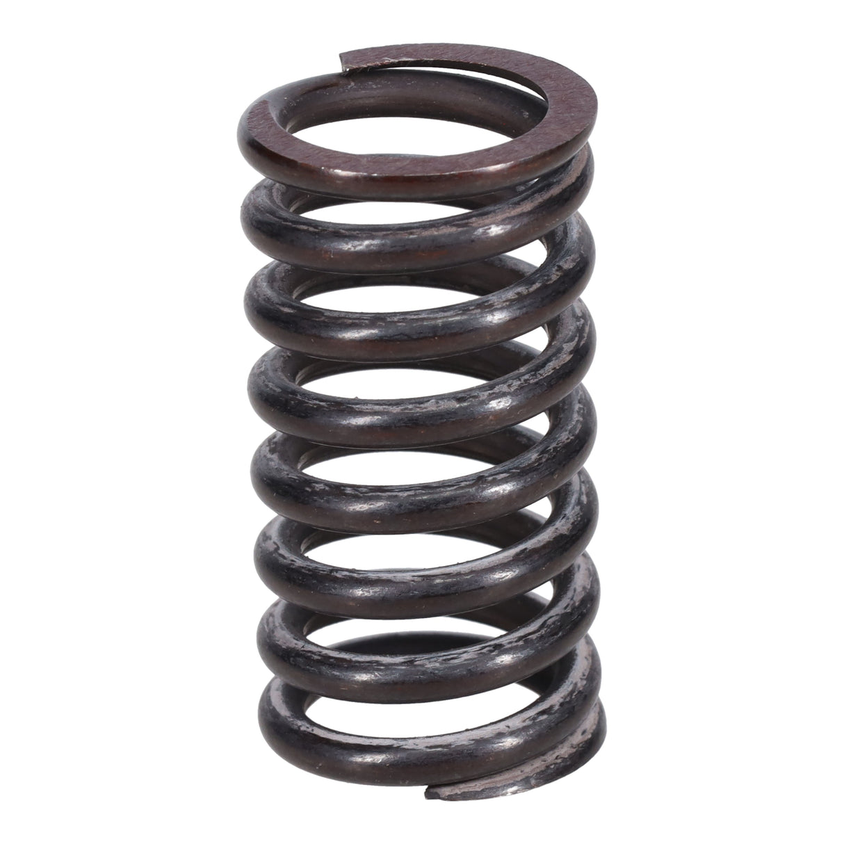 Valve Spring