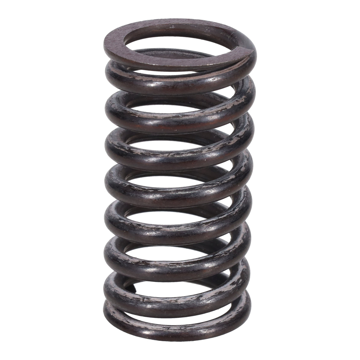 Valve Spring