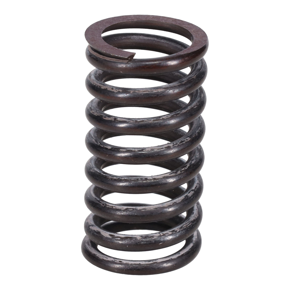 Valve Spring