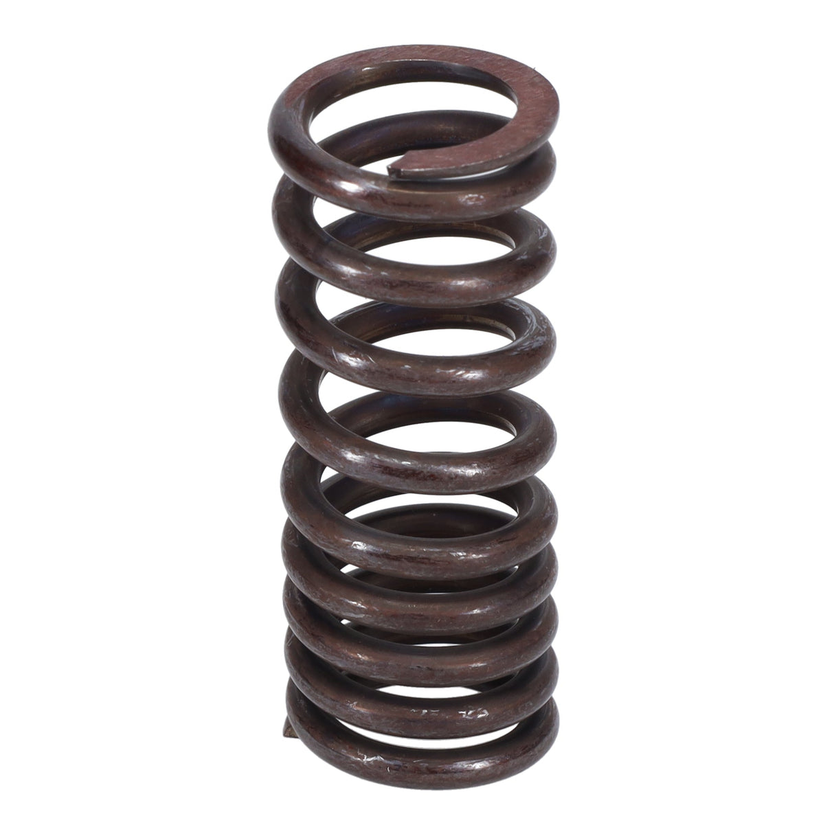 Valve Spring
