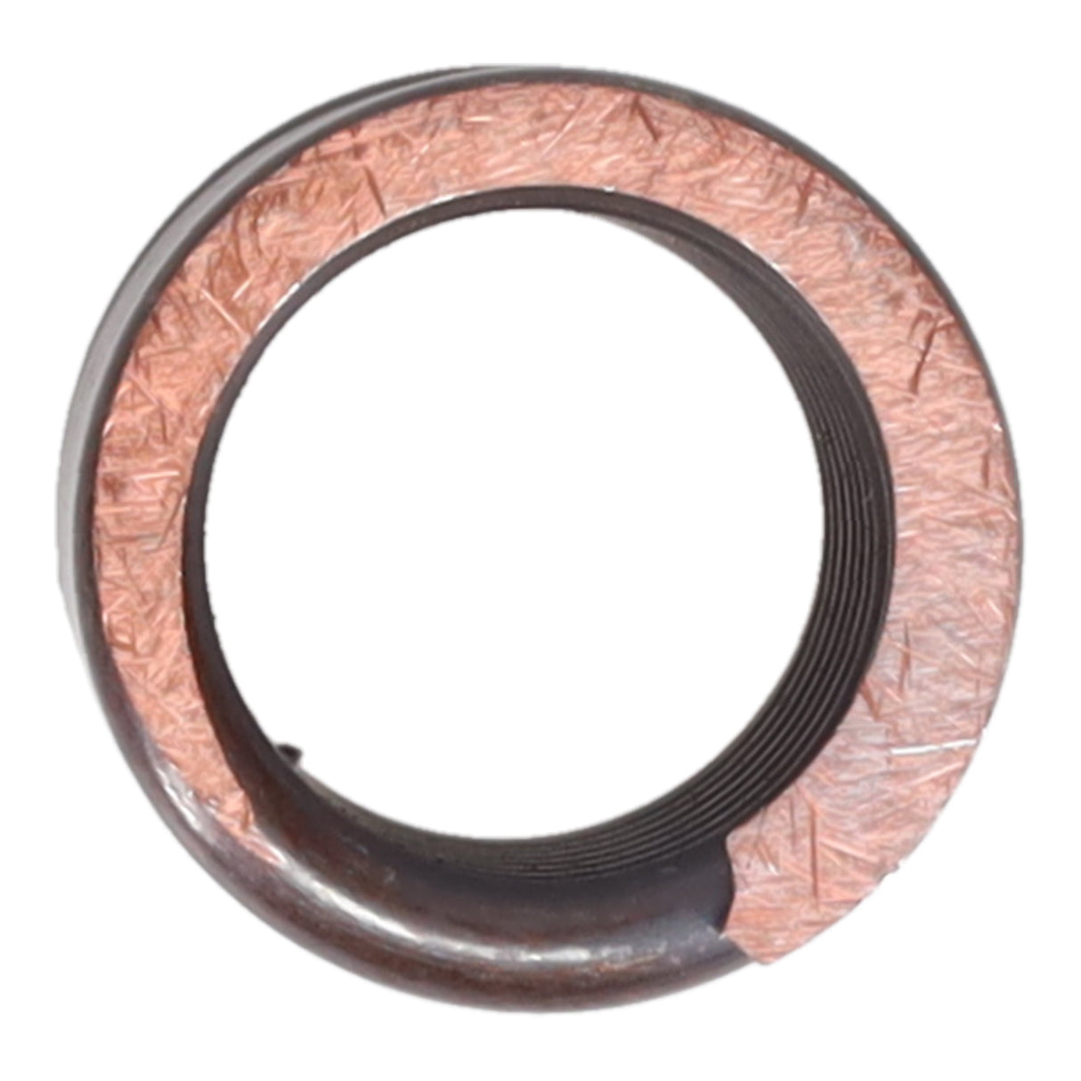 Valve Spring