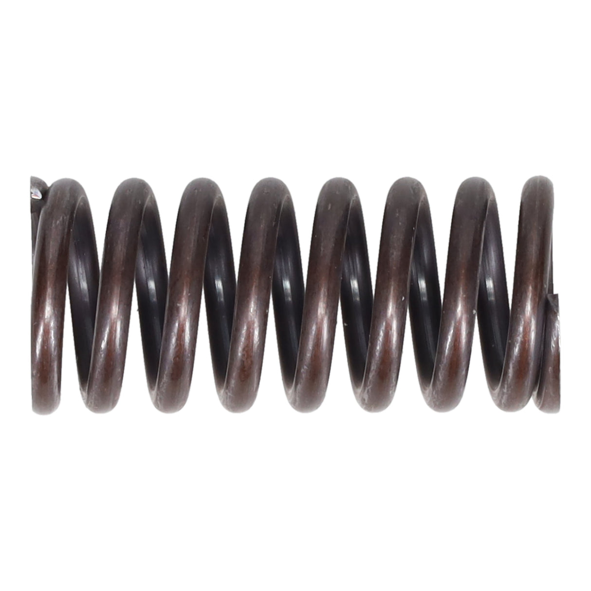 Valve Spring
