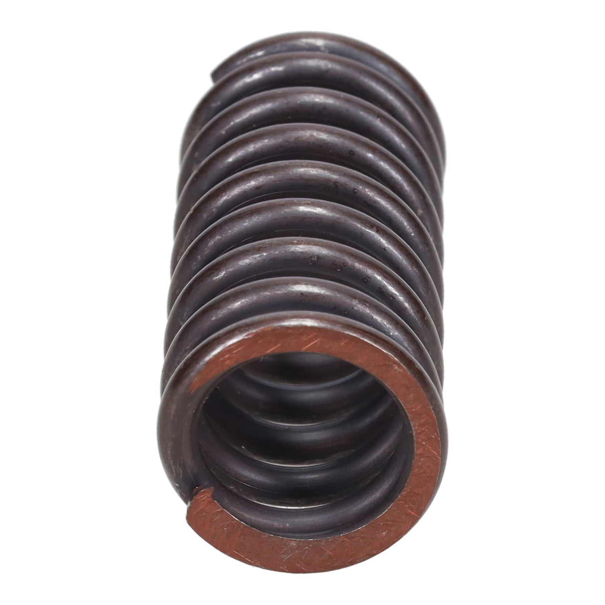 Valve Spring
