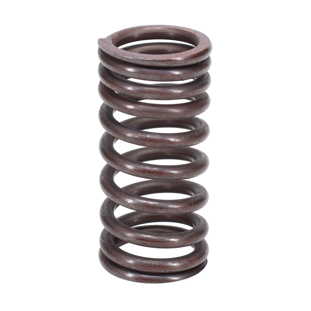 Valve Spring