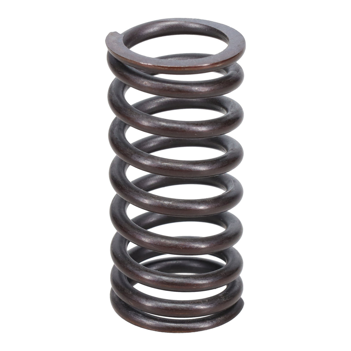 Valve Spring