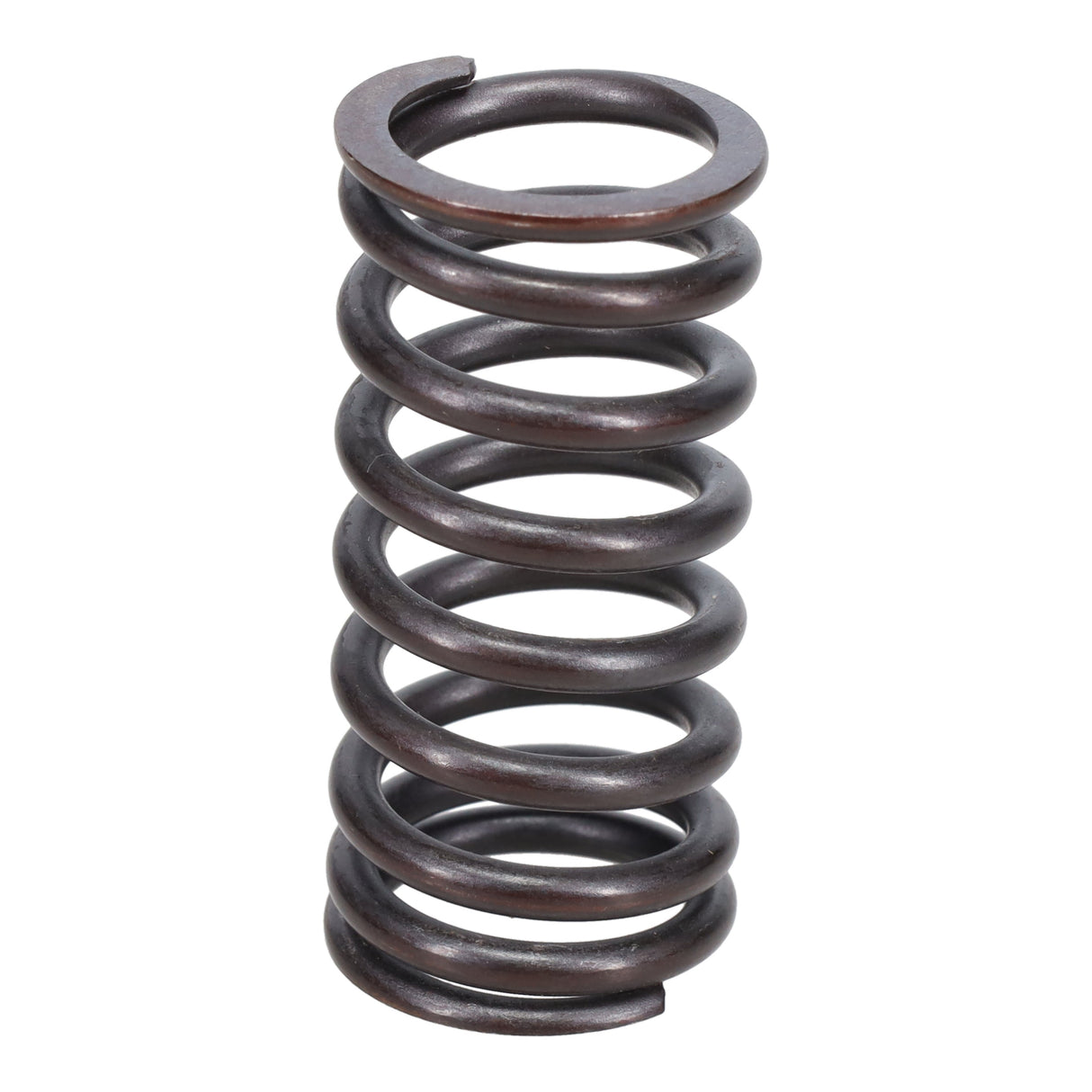 Valve Spring