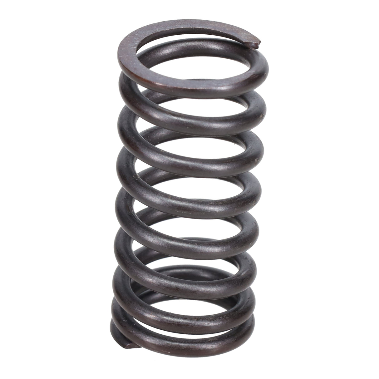 Valve Spring