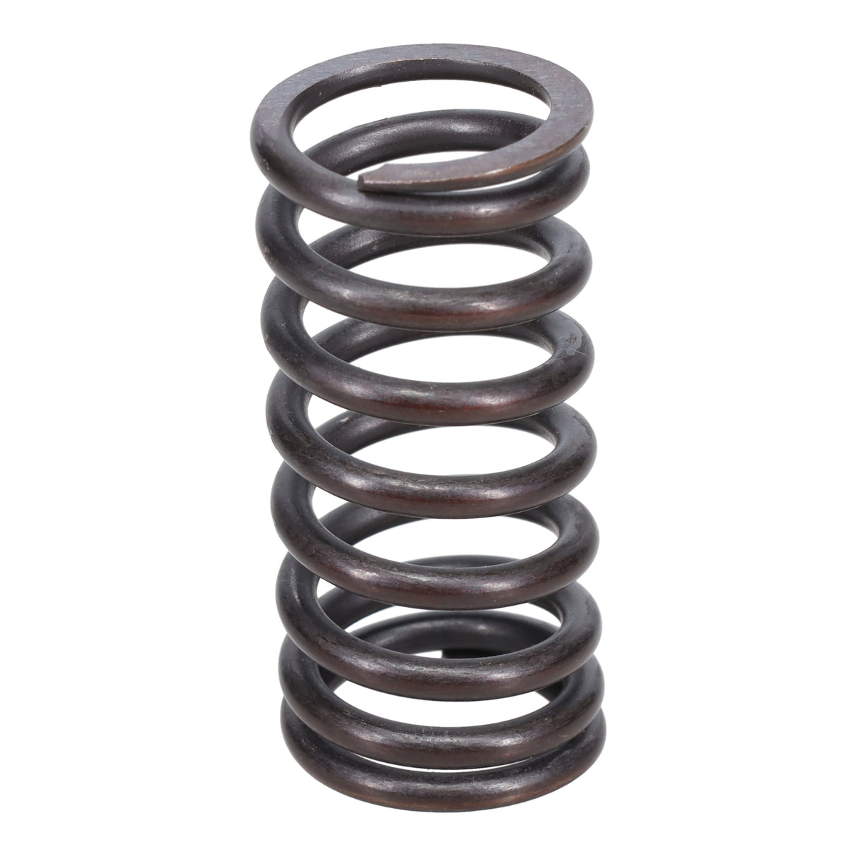 Valve Spring