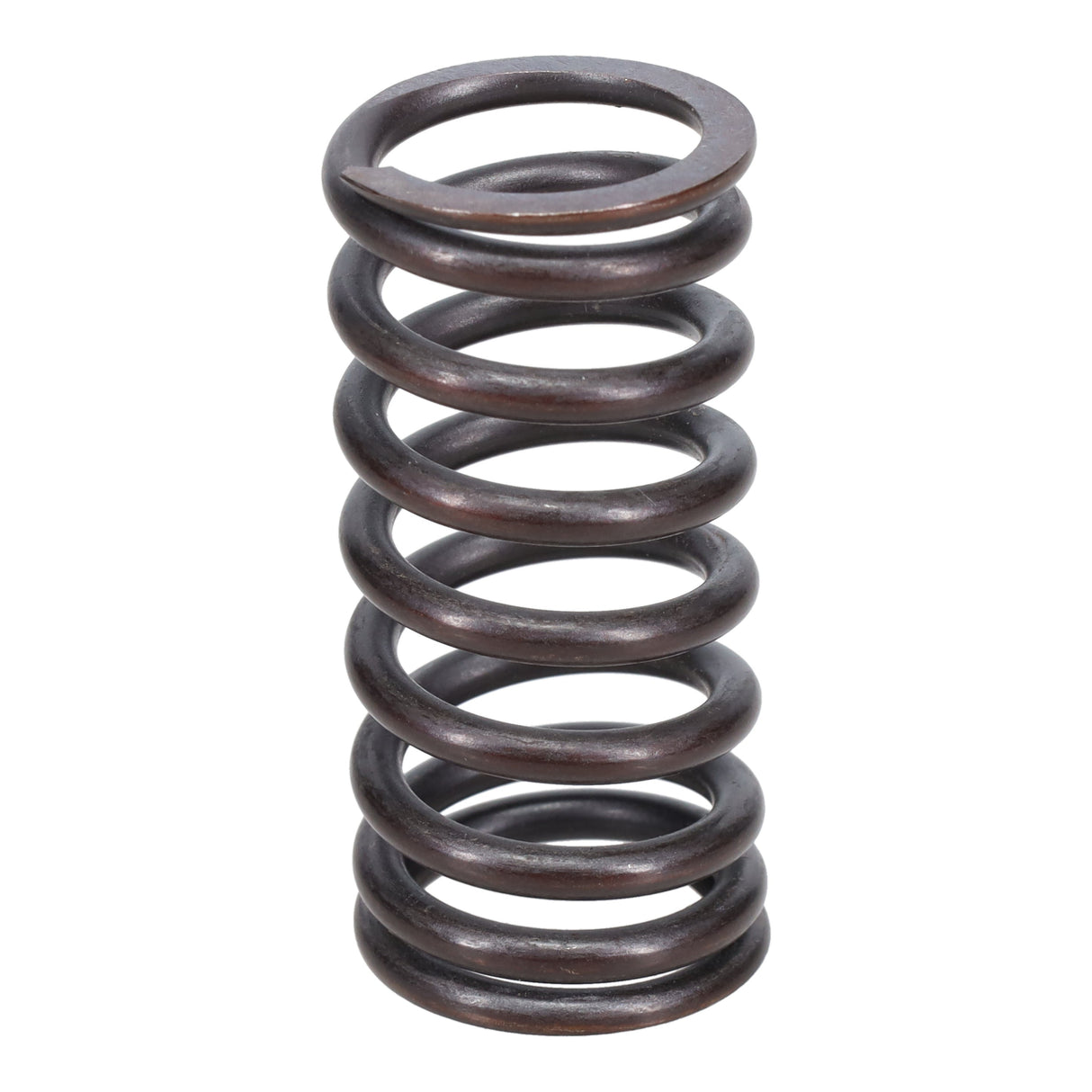 Valve Spring