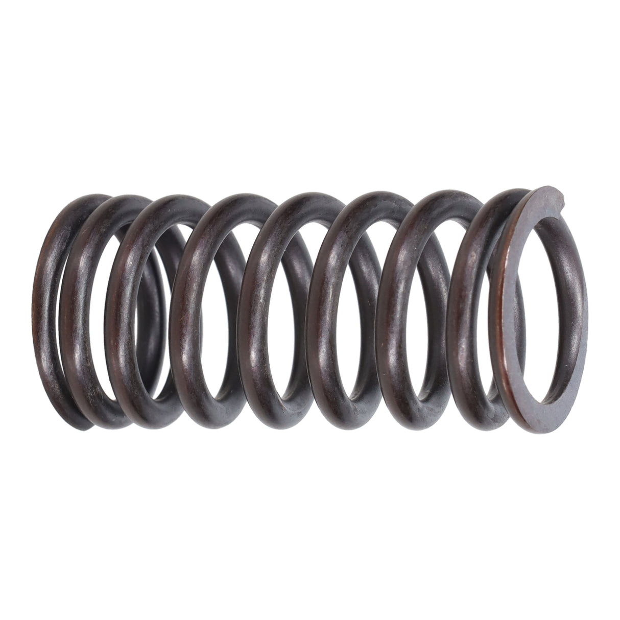 Valve Spring