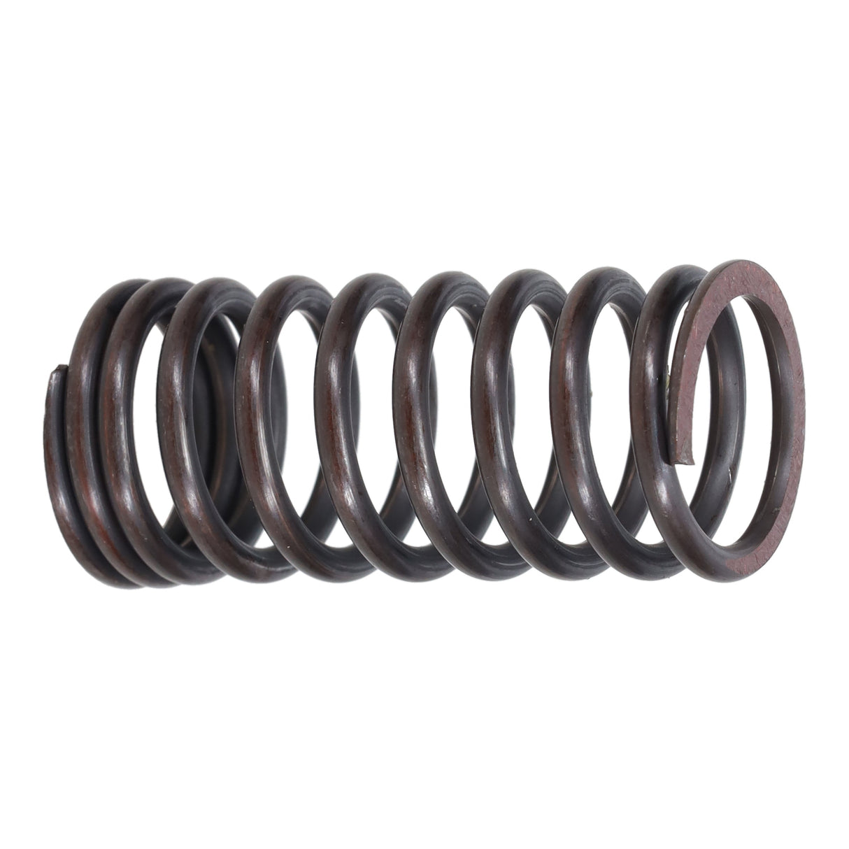 Valve Spring