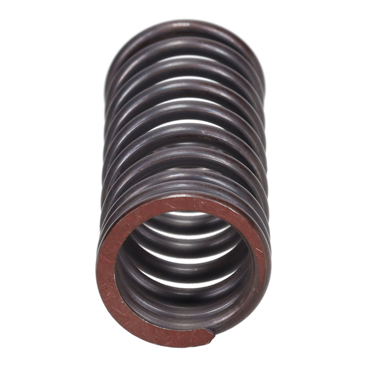 Valve Spring
