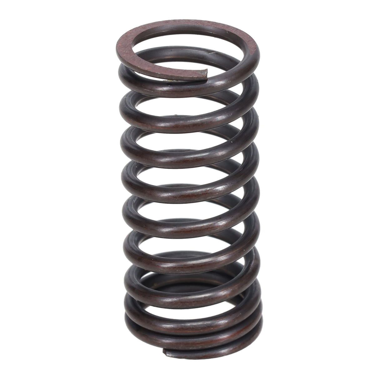Valve Spring