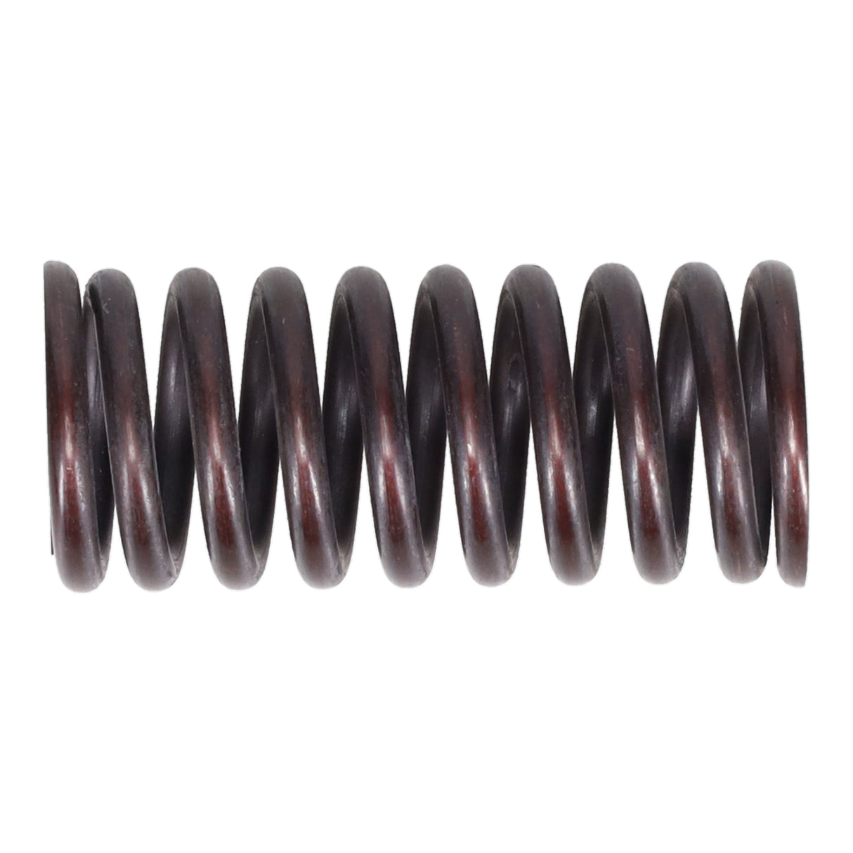 Valve Spring