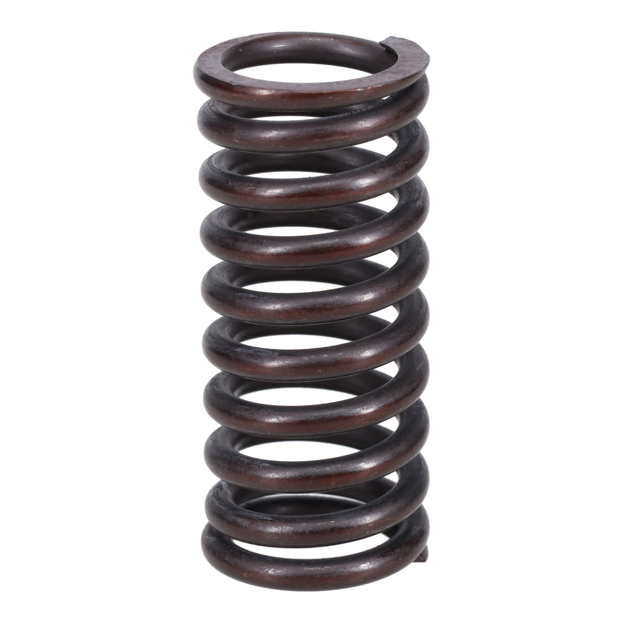 Valve Spring