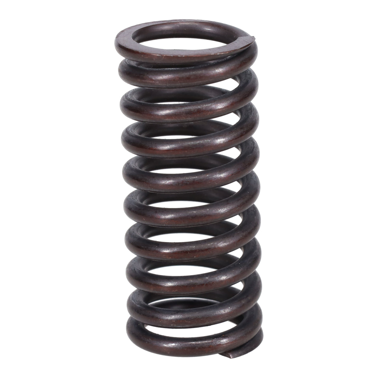 Valve Spring