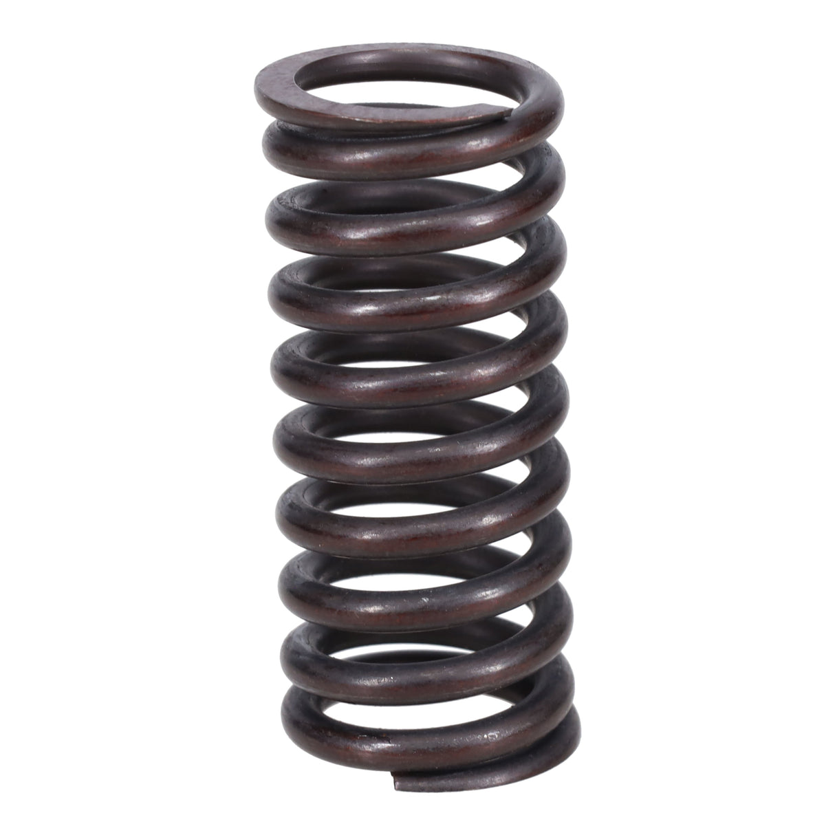 Valve Spring