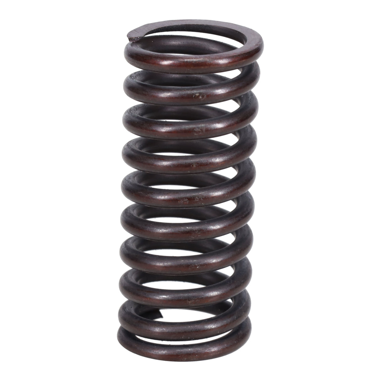 Valve Spring