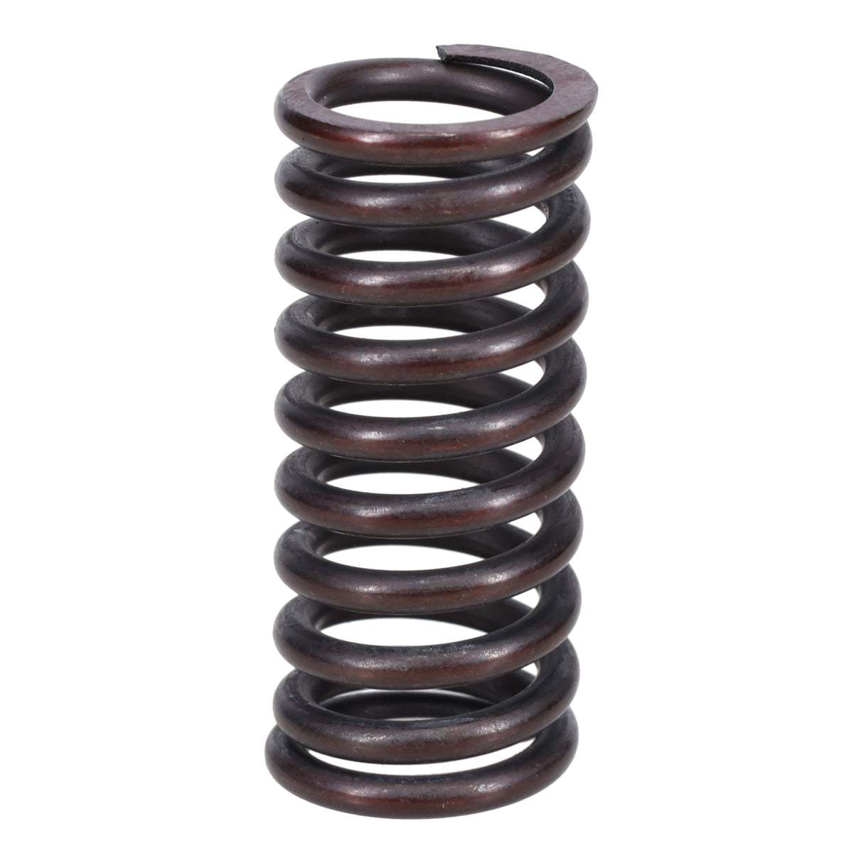 Valve Spring