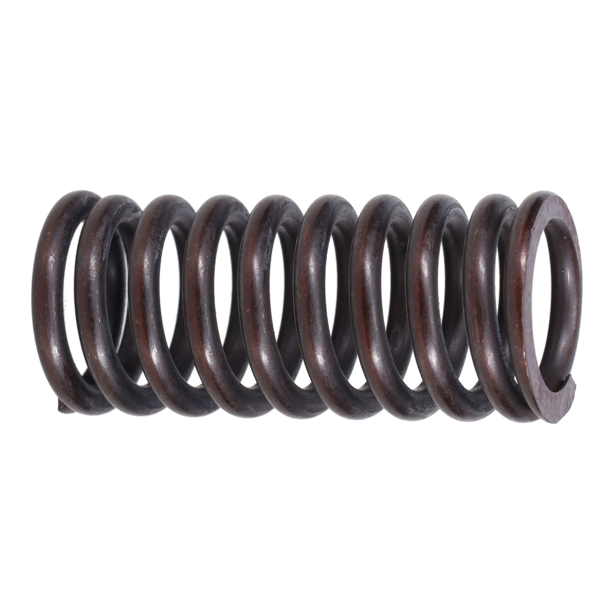 Valve Spring