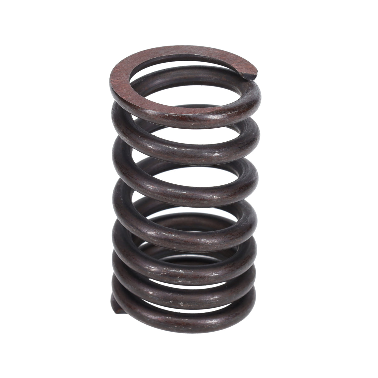 Valve Spring