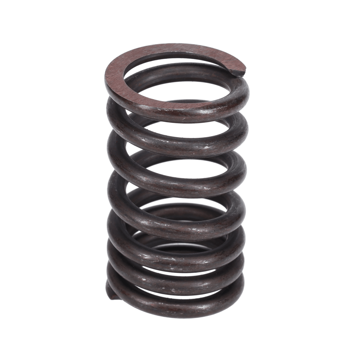 Valve Spring