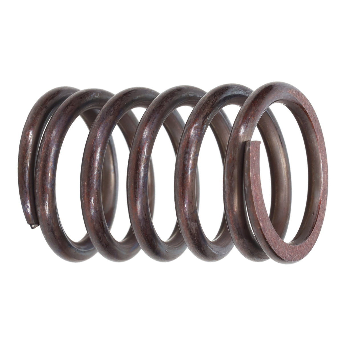 Valve Spring