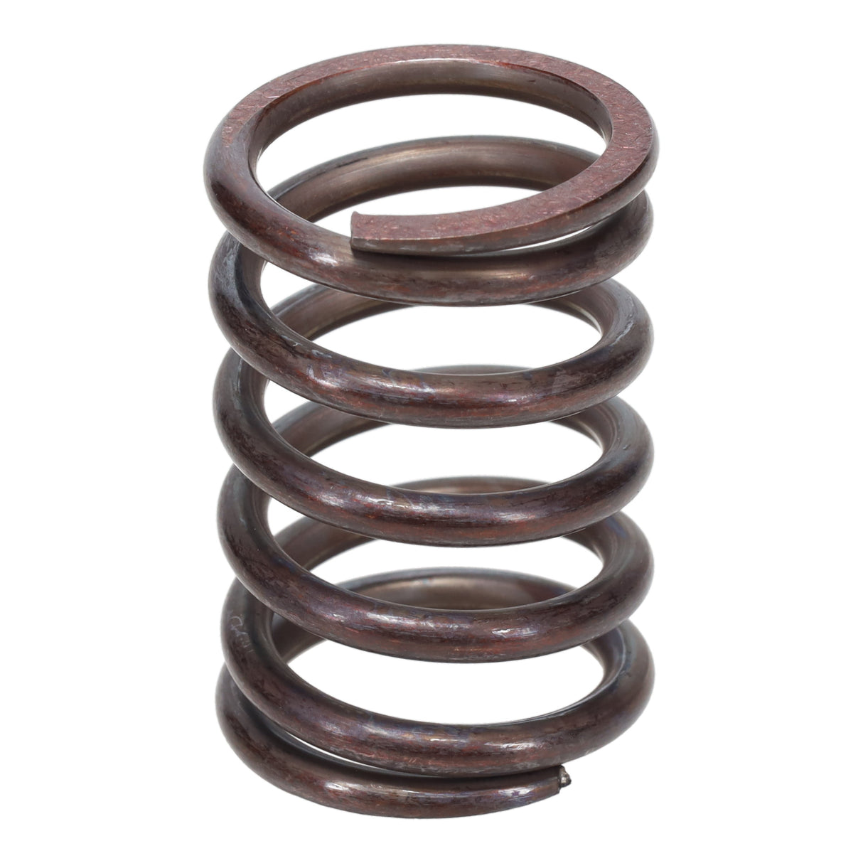 Valve Spring