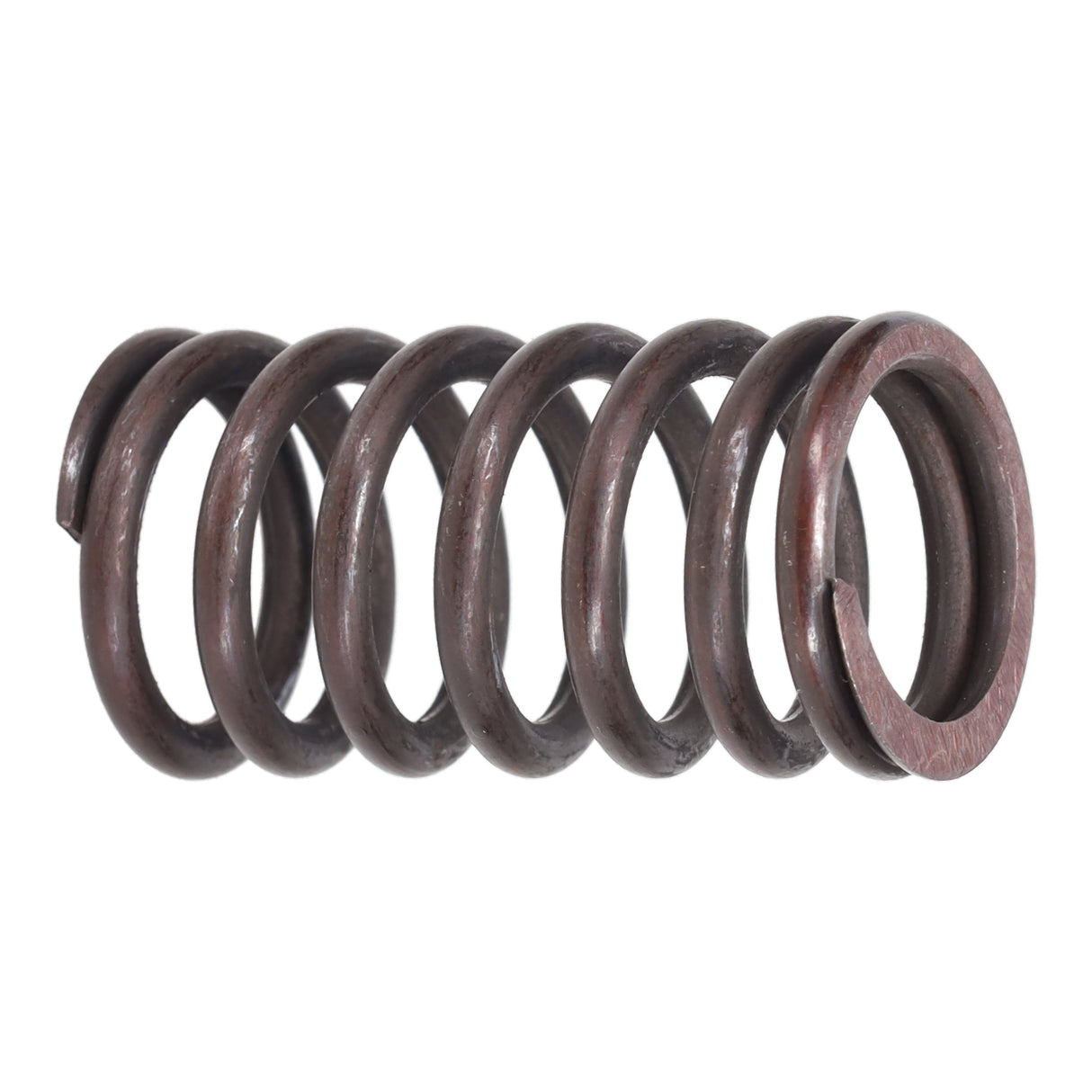Valve Spring