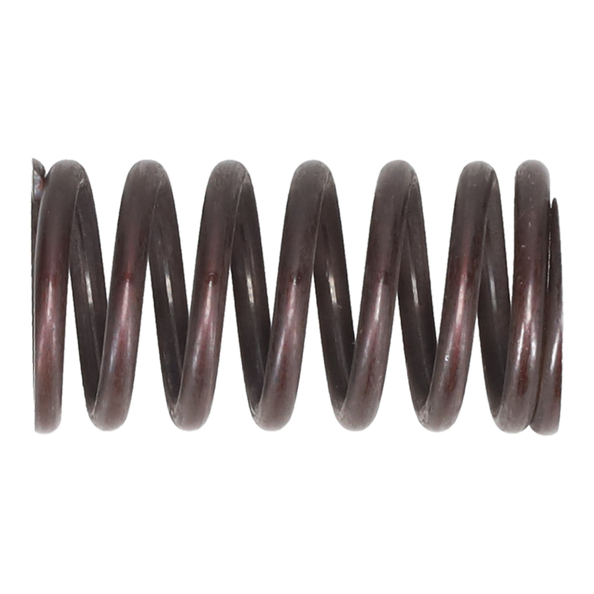 Valve Spring