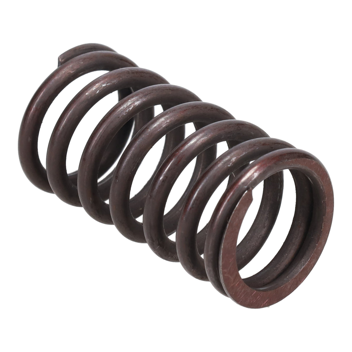 Valve Spring