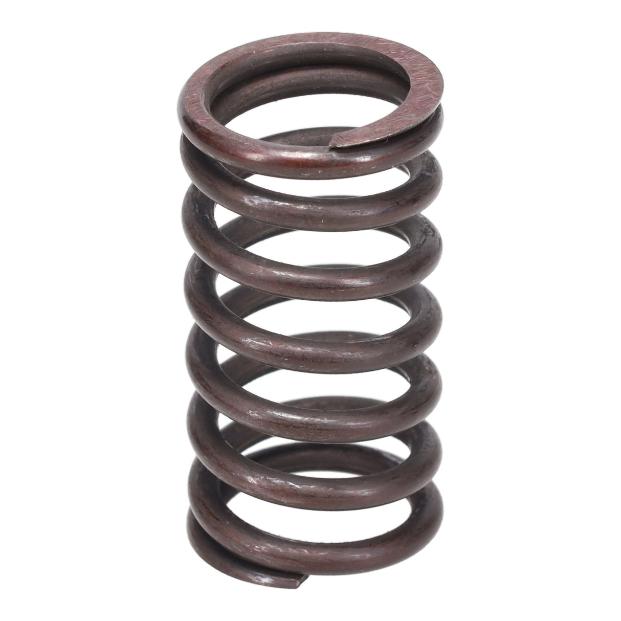 Valve Spring