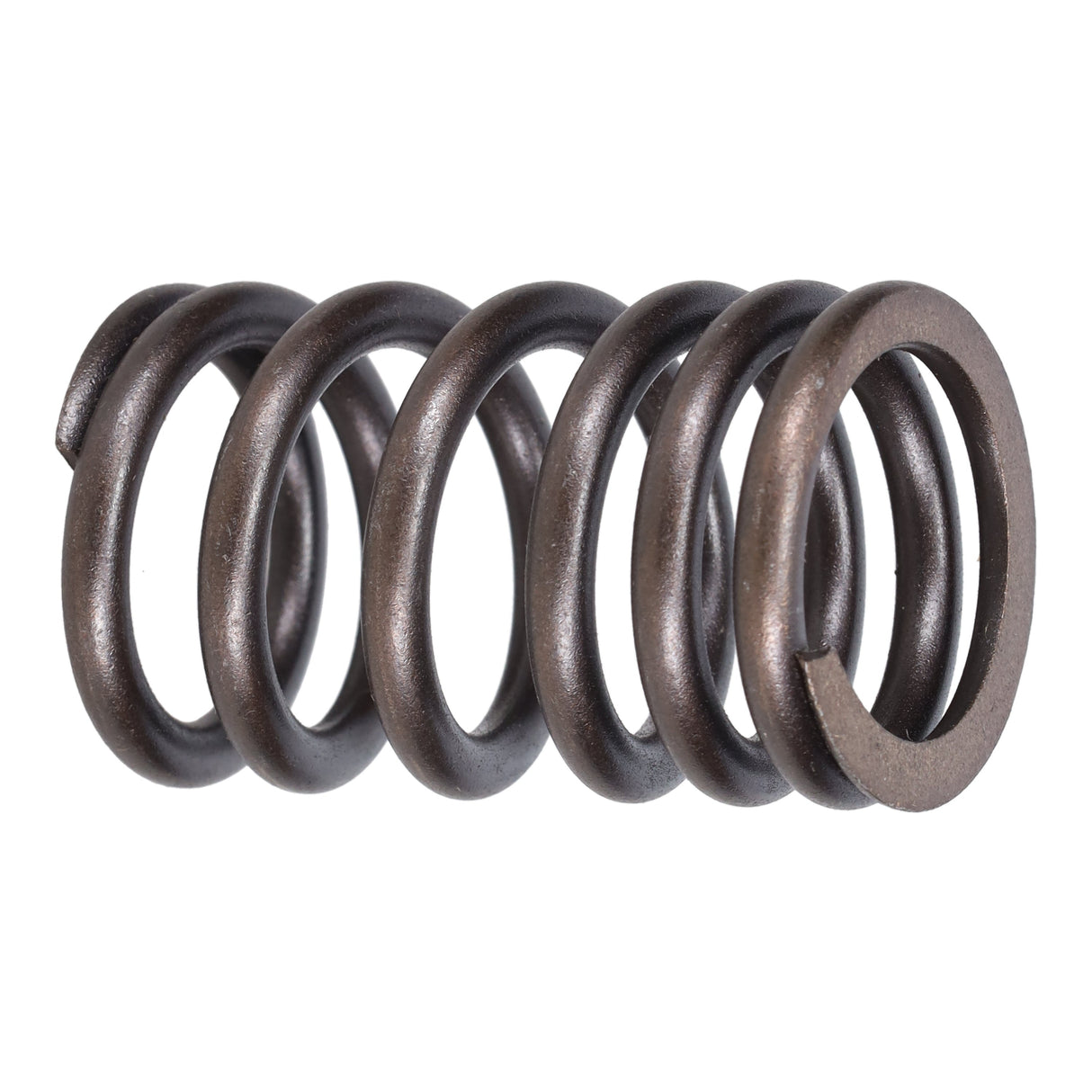 Valve Spring