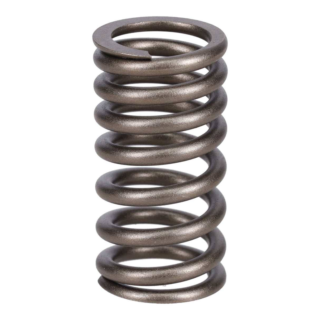 Valve Spring
