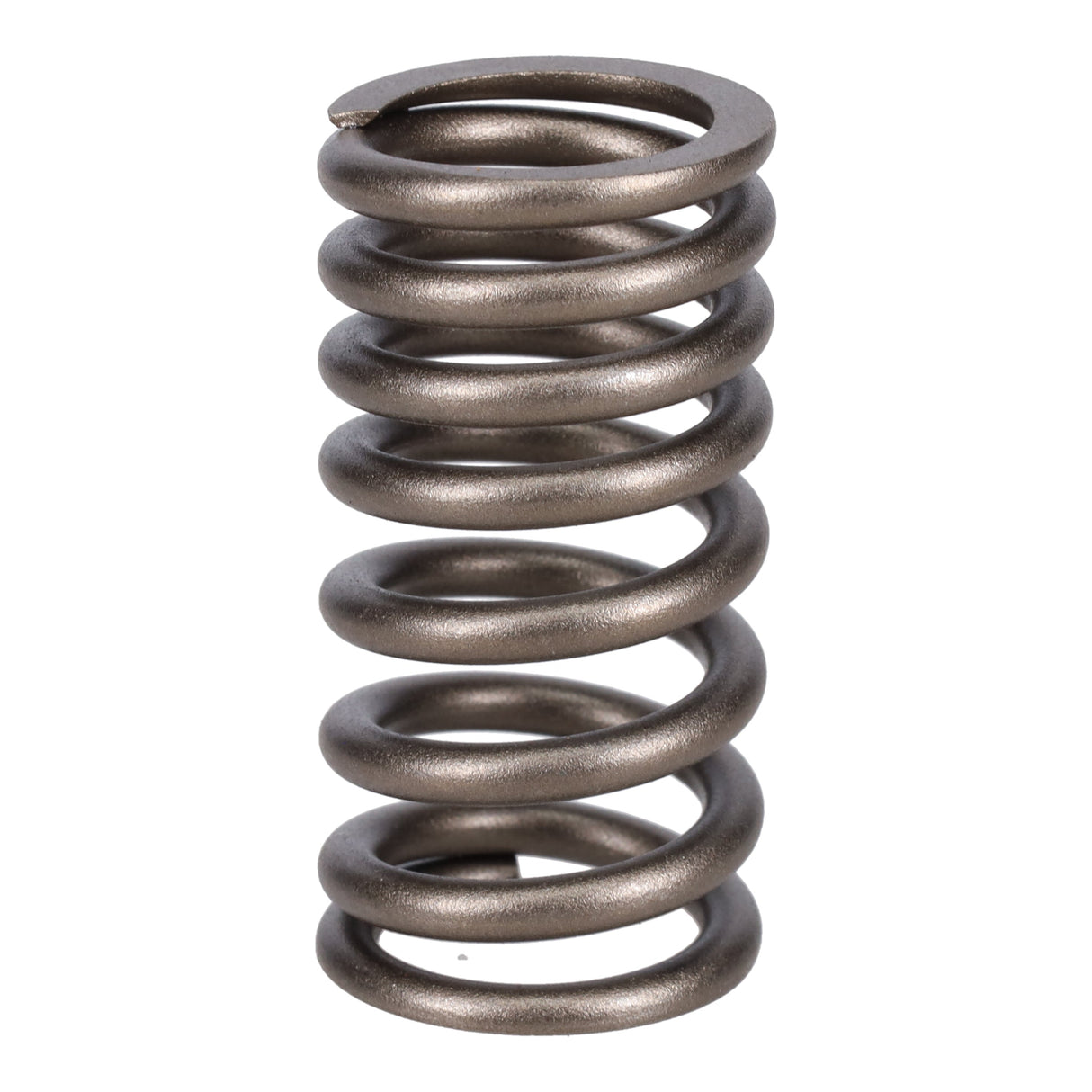 Valve Spring