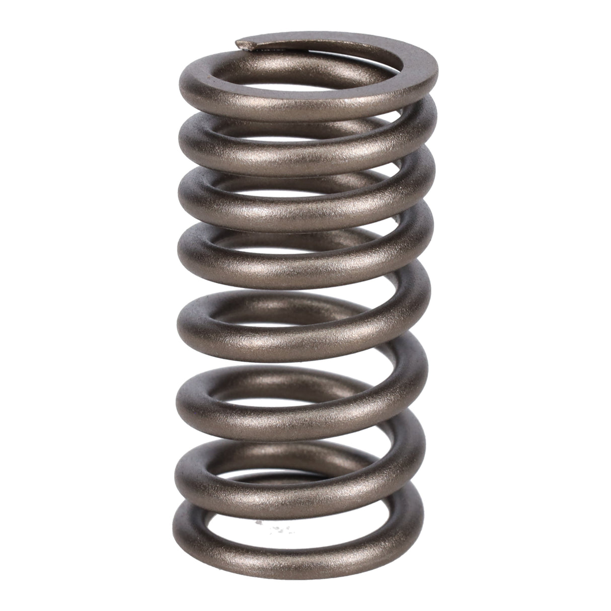 Valve Spring