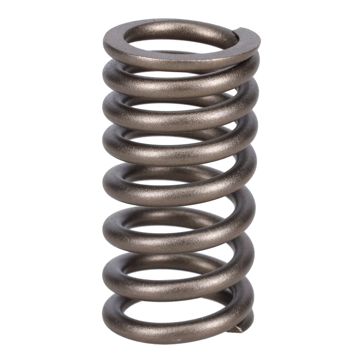 Valve Spring