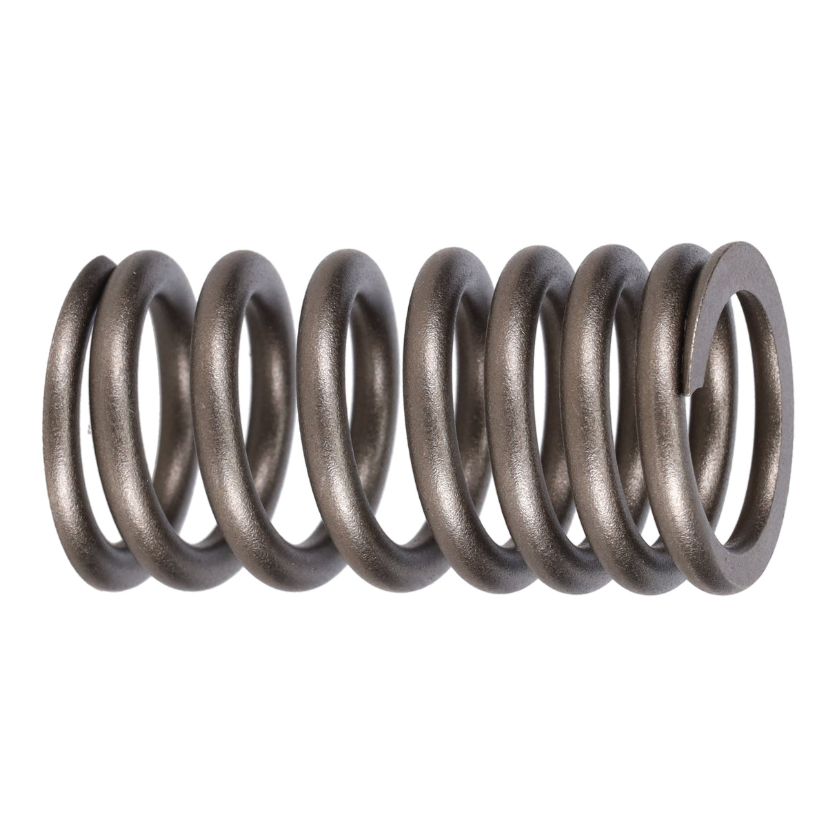 Valve Spring