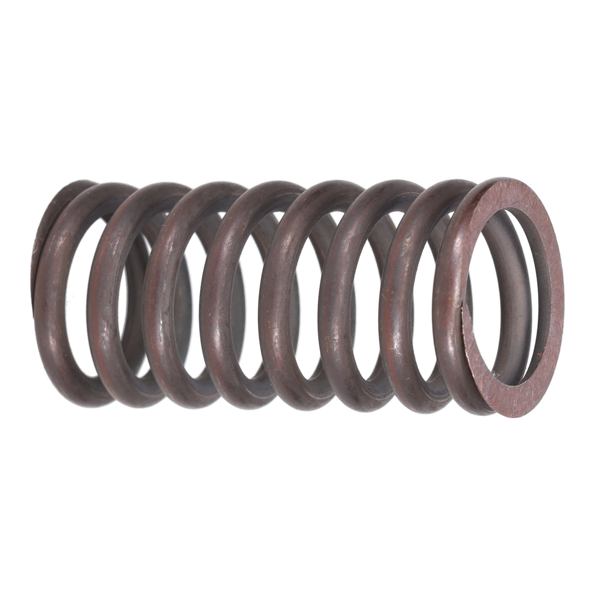 Valve Spring