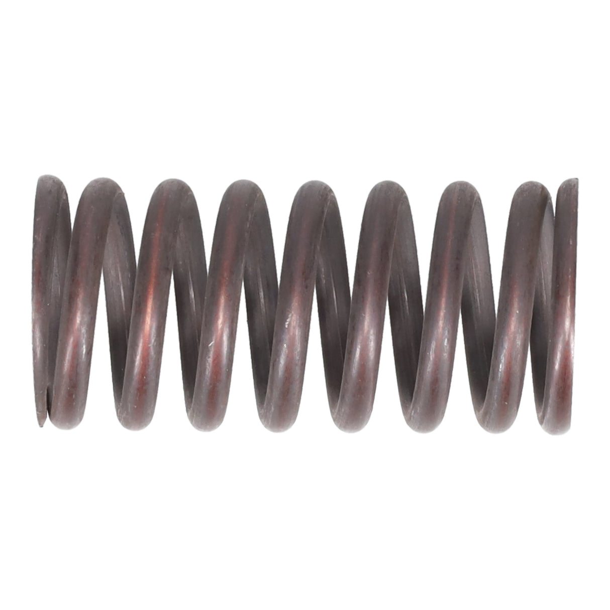 Valve Spring