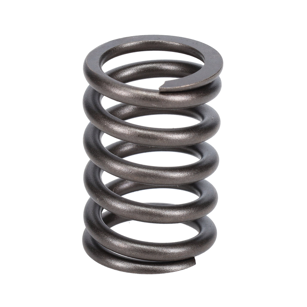Valve Spring