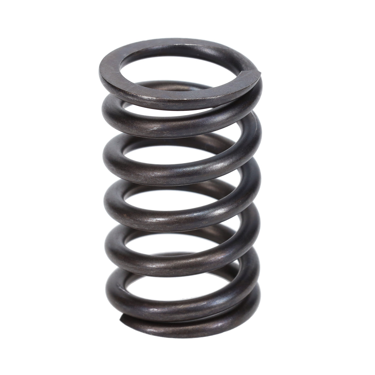 Valve Spring
