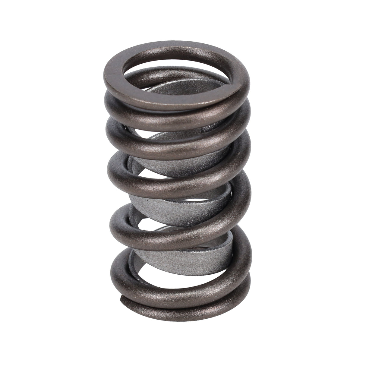 Valve Spring