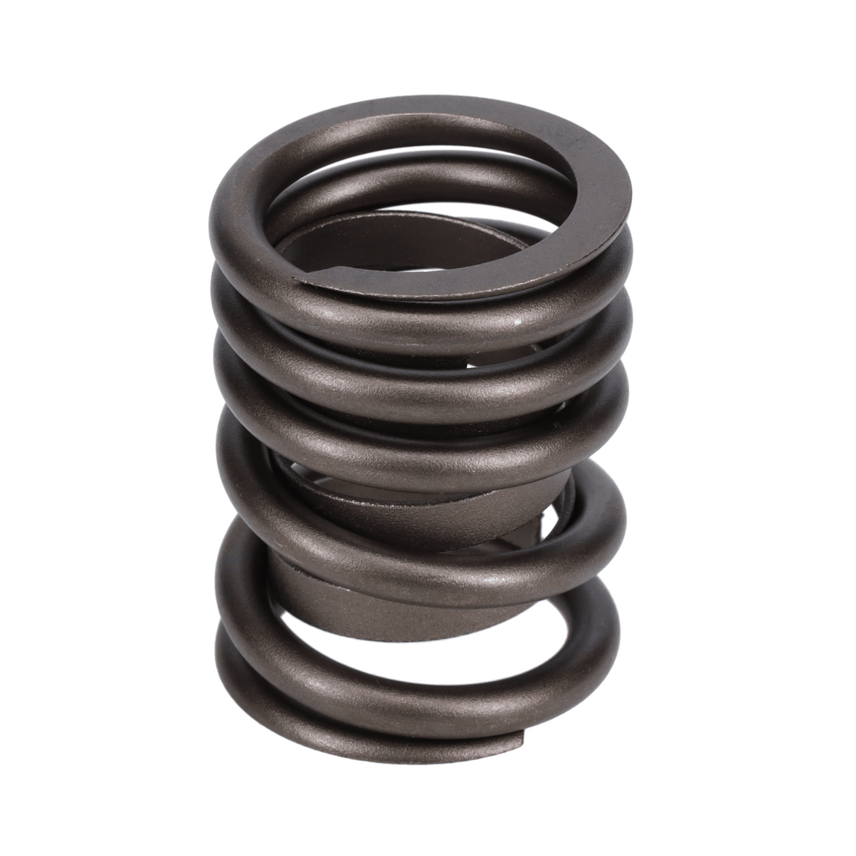 Valve Spring
