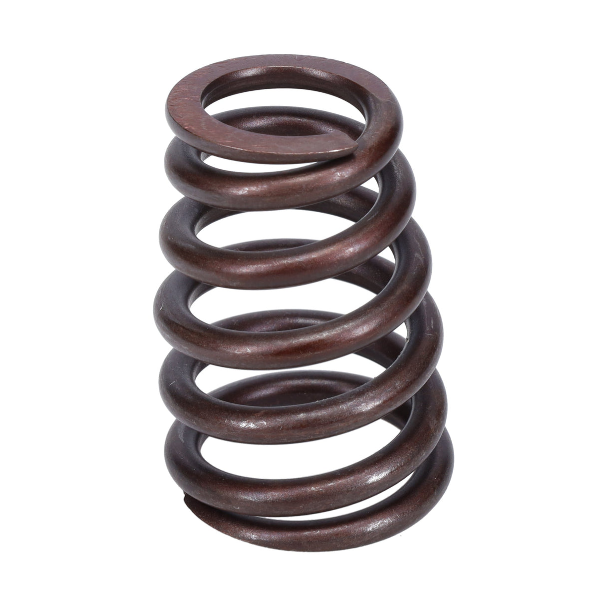 Valve Spring