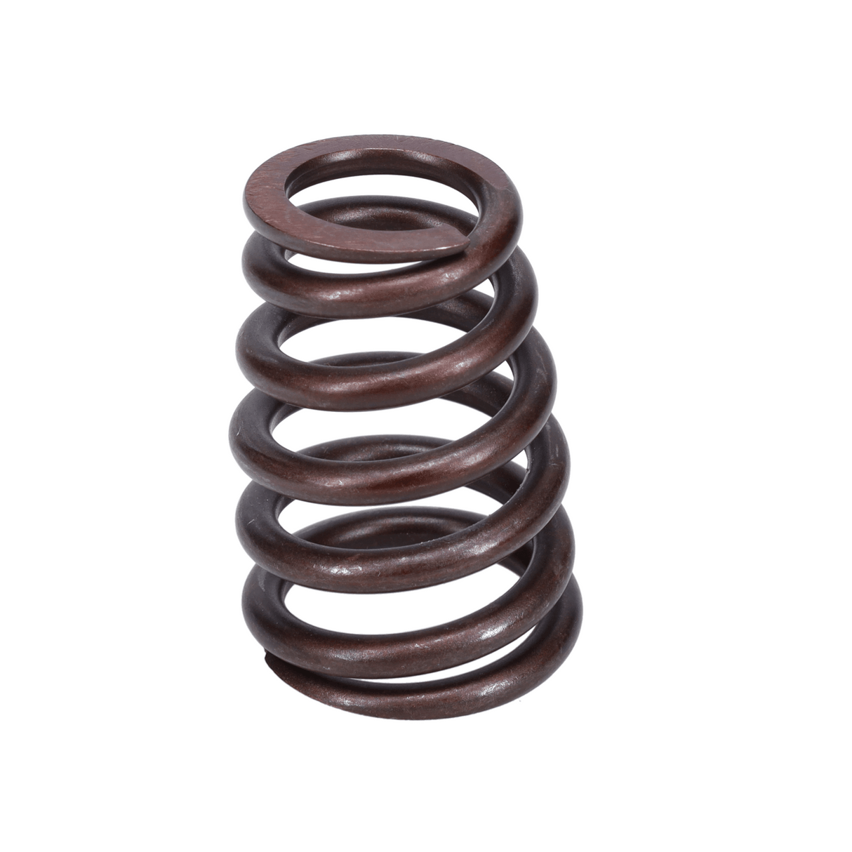Valve Spring