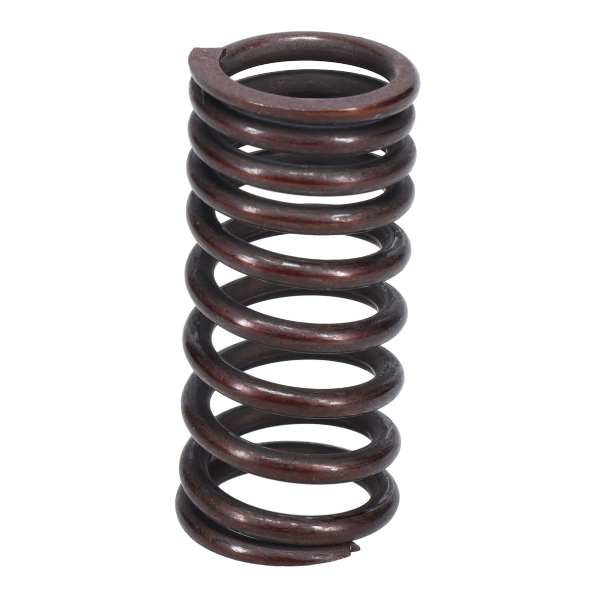 Valve Spring